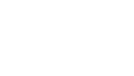 The Aesthetic Society